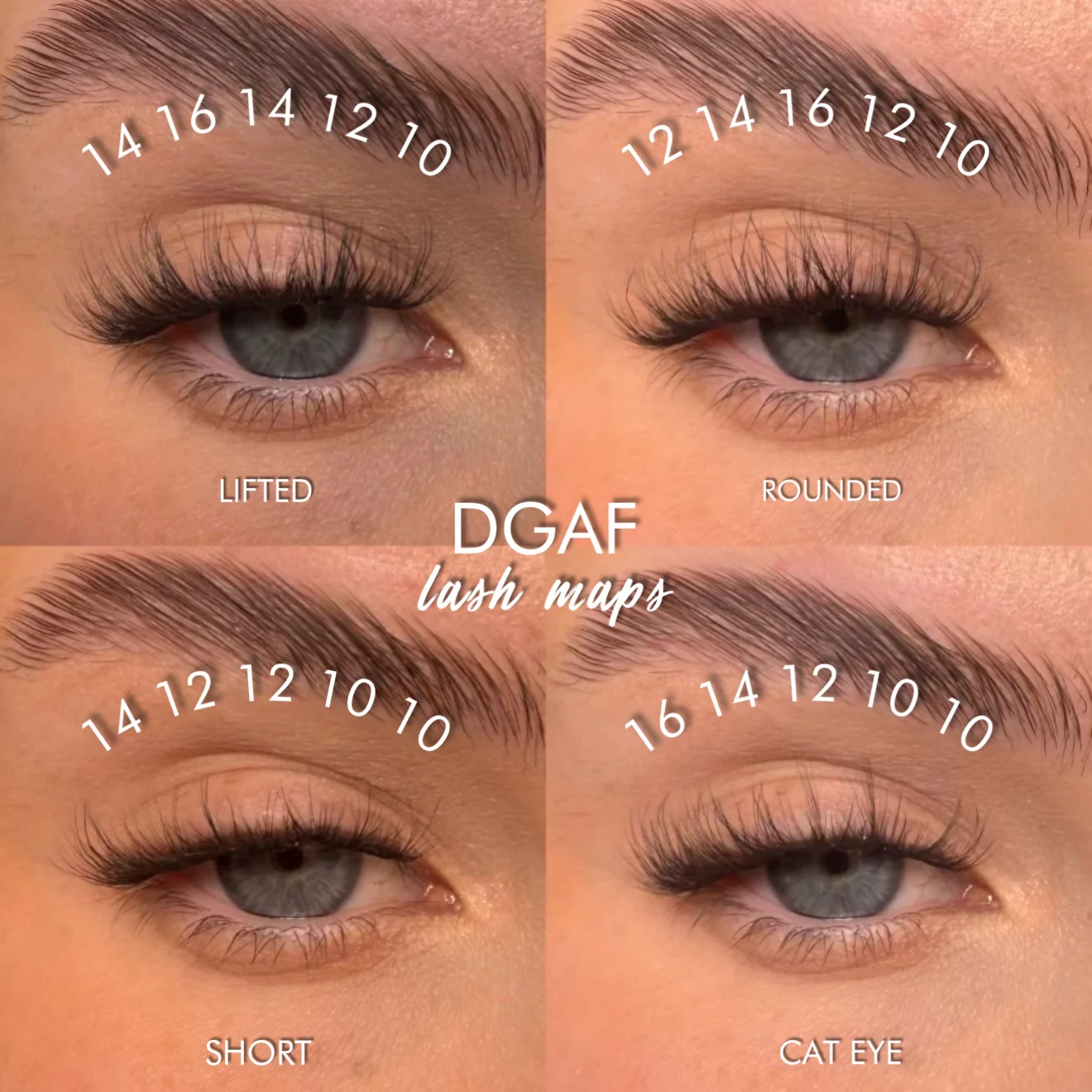 D.G.A.F Super Pre-Glued Lash Starter Kit - Image 5