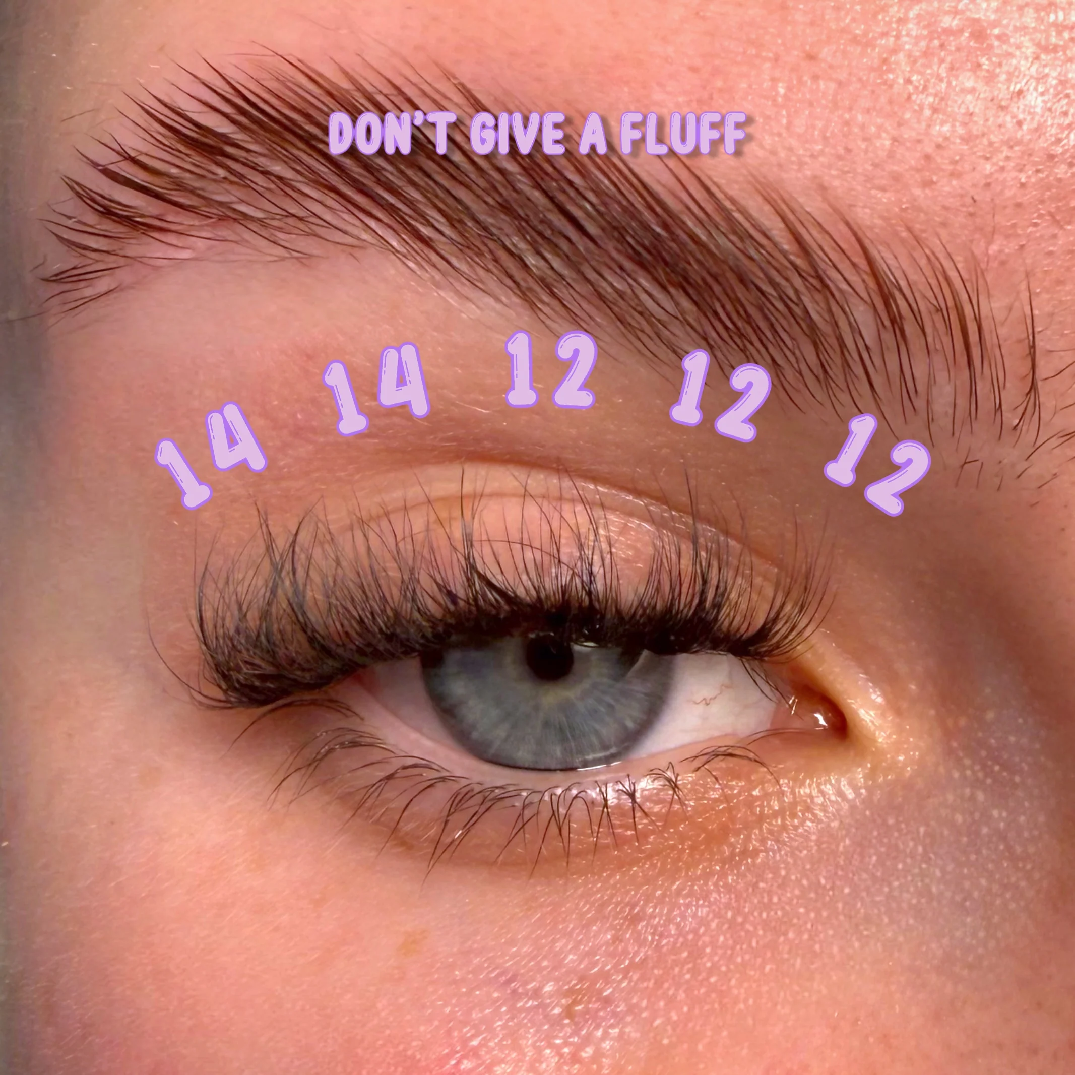 Don't Give A Fluff - Infill Clusters - Image 12