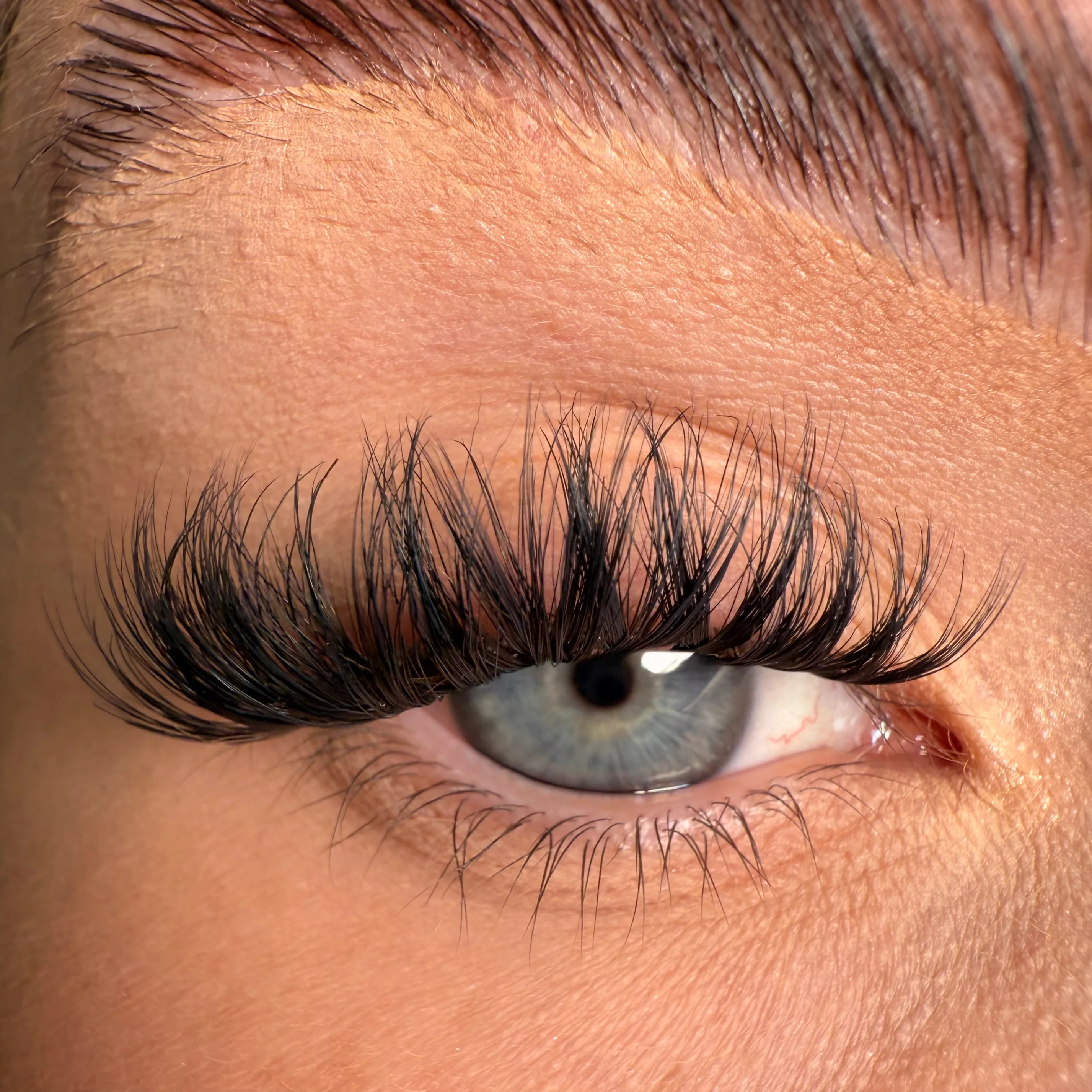 S.T.F.U. Super Pre-Glued Lashes + Remover Duo - Image 4