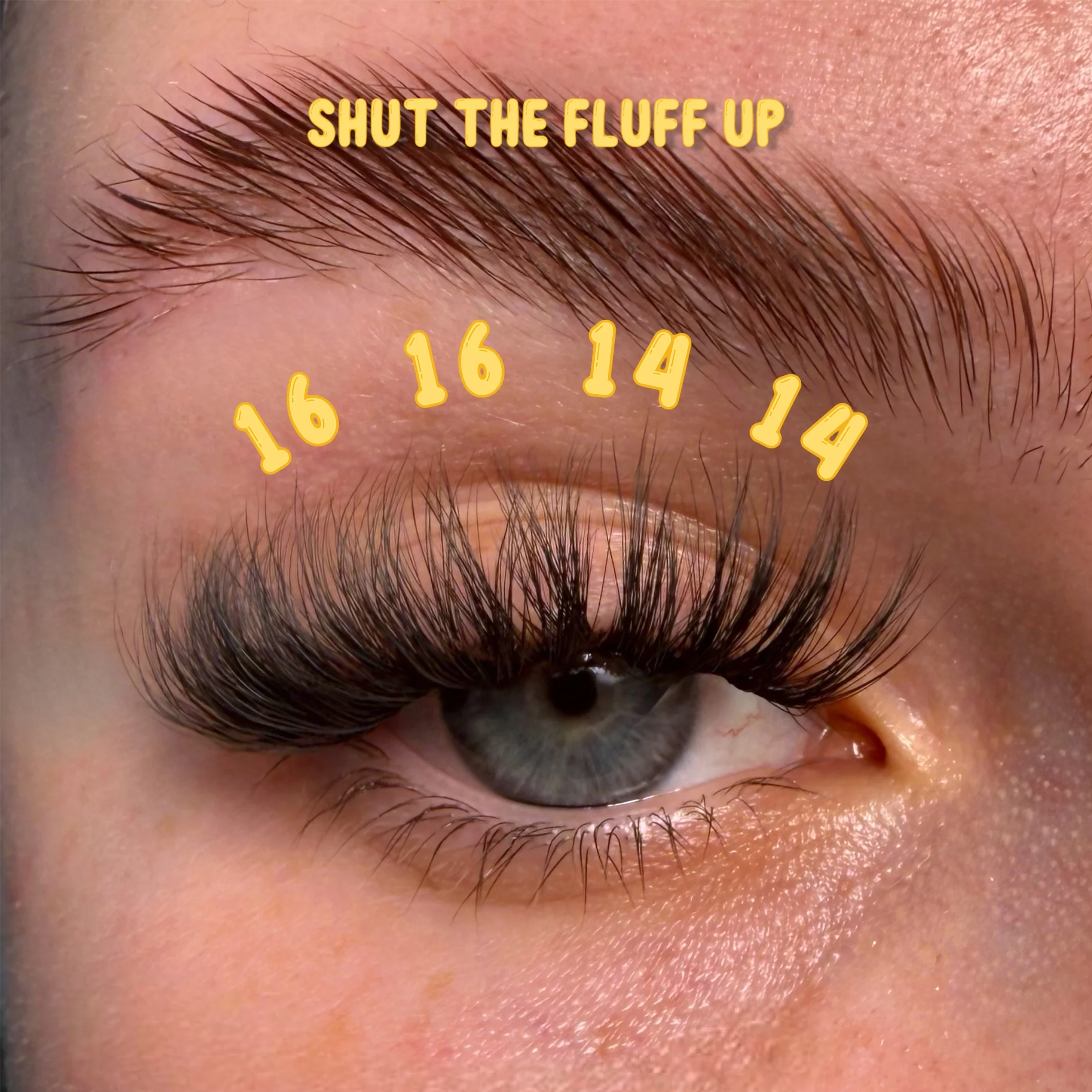 Shut The fluff Up - Infill Clusters - Image 11