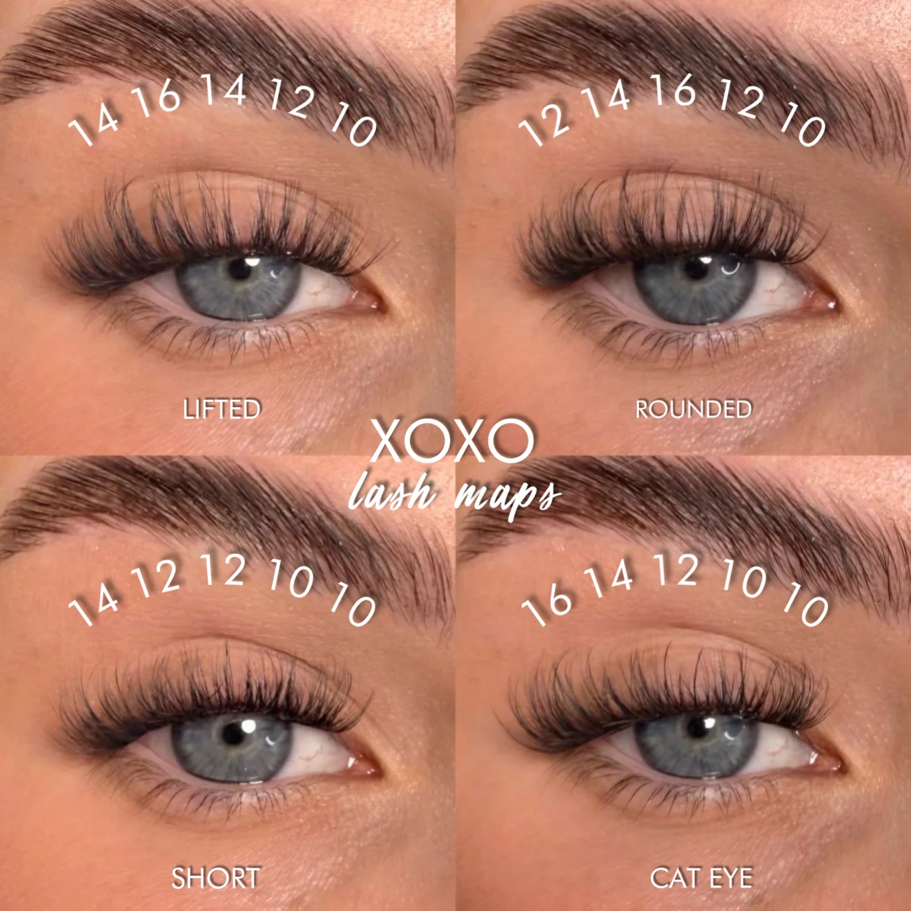 XOXO Super Pre-Glued Lash Starter Kit - Image 5